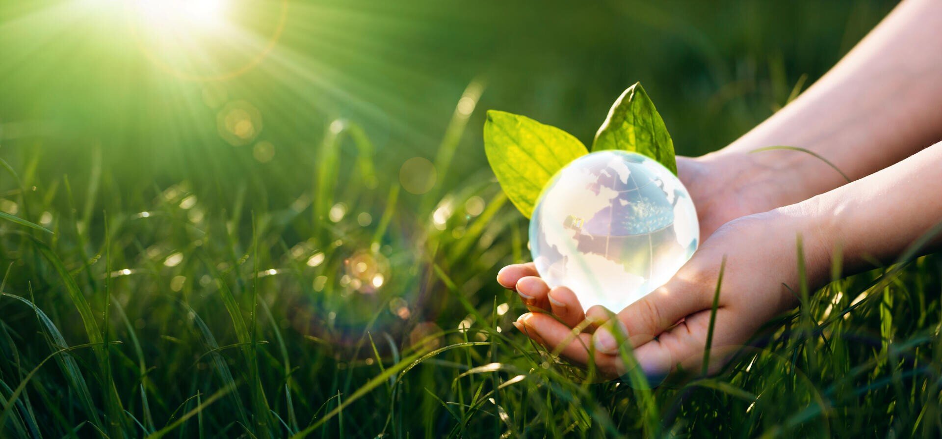 Des mains tiennent doucement un globe de verre avec des feuilles vertes dans un champ herbeux, symbolisant la protection de l'environnement et la durabilité, avec la lumière du soleil entrant par le coin supérieur gauche.