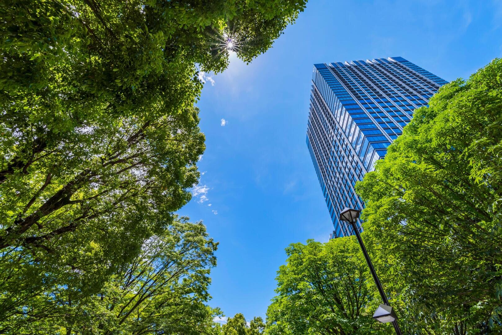 Ein moderner gläserner Wolkenkratzer erhebt sich über üppig grünen Bäumen unter einem strahlend blauen Himmel, wobei das Sonnenlicht durch die Blätter filtert und eine Straßenlaterne zwischen den Blättern zu sehen ist.