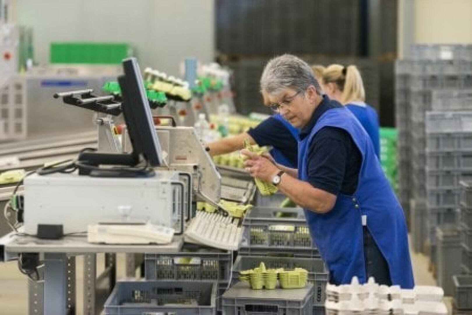 Eine Frau in einer blauen Weste prüft und sortiert grüne Eierkartons an einem Arbeitsplatz in einer Fabrik, wobei sie von Tabletts, einem Computer und anderen Geräten umgeben ist. Im Hintergrund ist ein weiterer Arbeiter zu sehen.