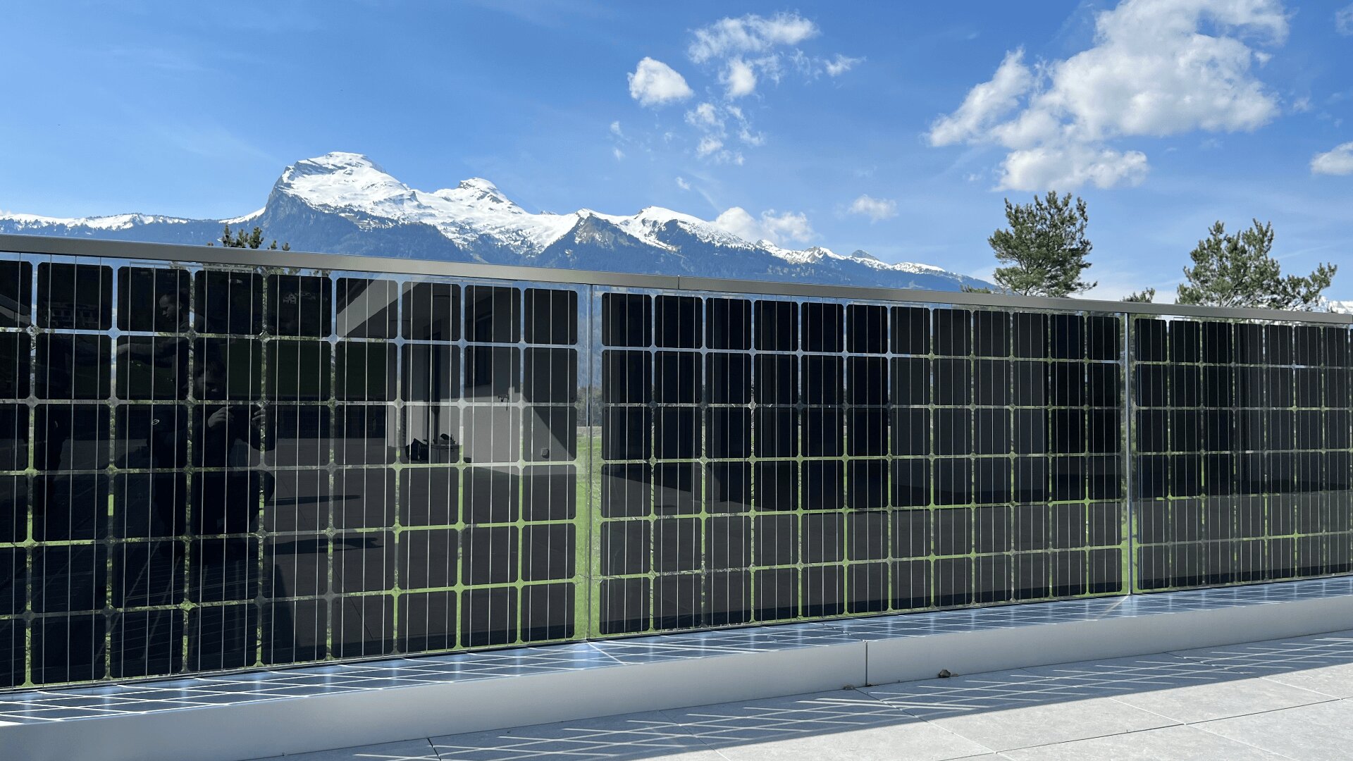 Eine Reihe von vertikalen Solarmodulen ist im Freien installiert, mit schneebedeckten Bergen und einem blauen Himmel mit vereinzelten Wolken im Hintergrund. Auf der rechten Seite sind einige Bäume zu sehen.