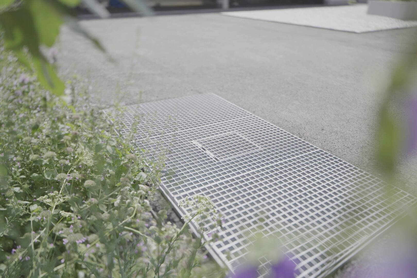 Eine Metallgitterabdeckung ist über einer Bodenöffnung neben einer gepflasterten Fläche installiert, neben der grüne Pflanzen und lila Blumen wachsen. Die Szene erscheint im Freien mit sanfter natürlicher Beleuchtung.