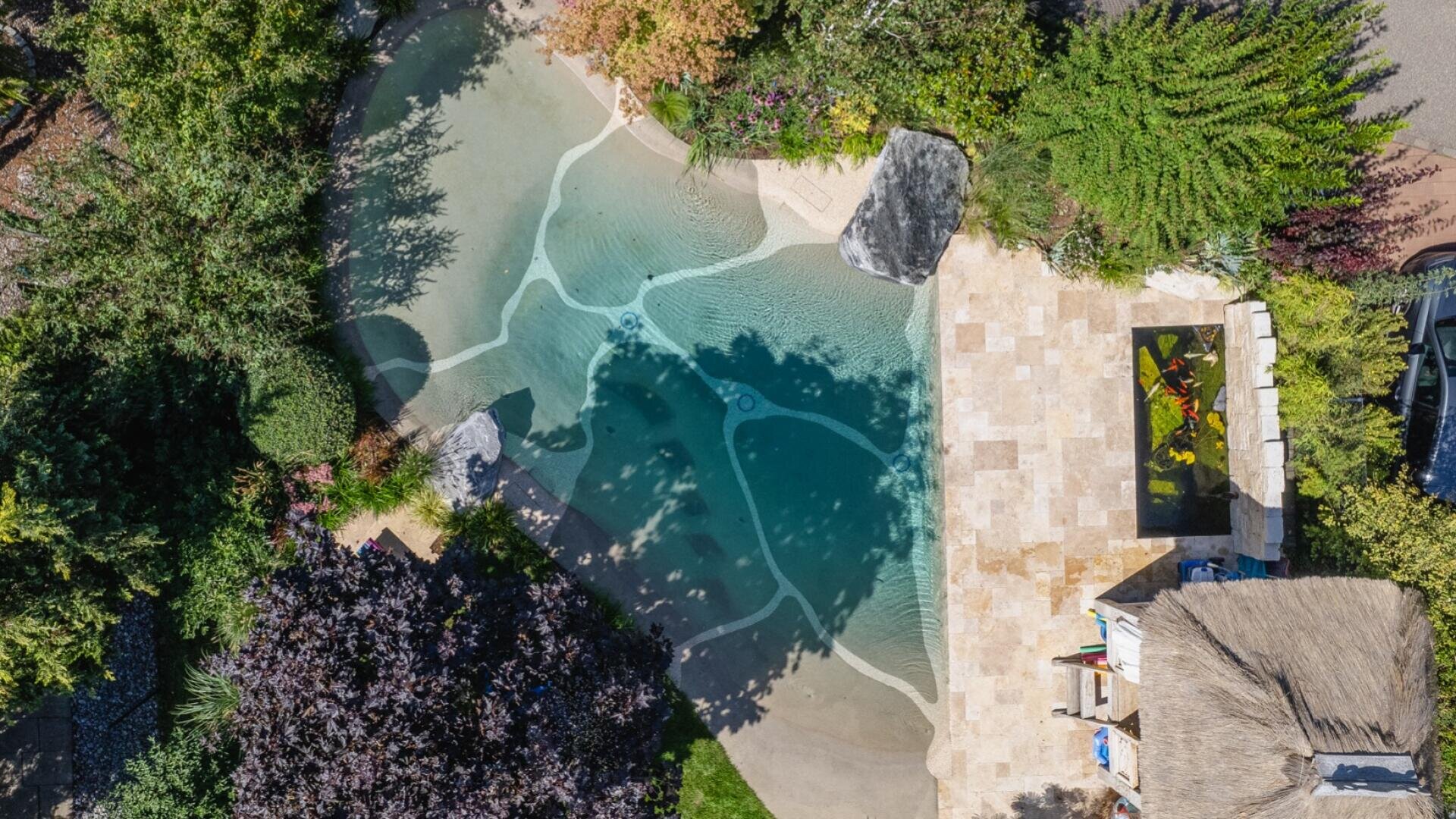 Luftaufnahme eines naturalistischen Swimmingpools mit geschwungenen Rändern, umgeben von üppigem Grün, einer Steinterrasse, Liegestühlen und einer Strohdachkonstruktion in einem begrünten Garten.