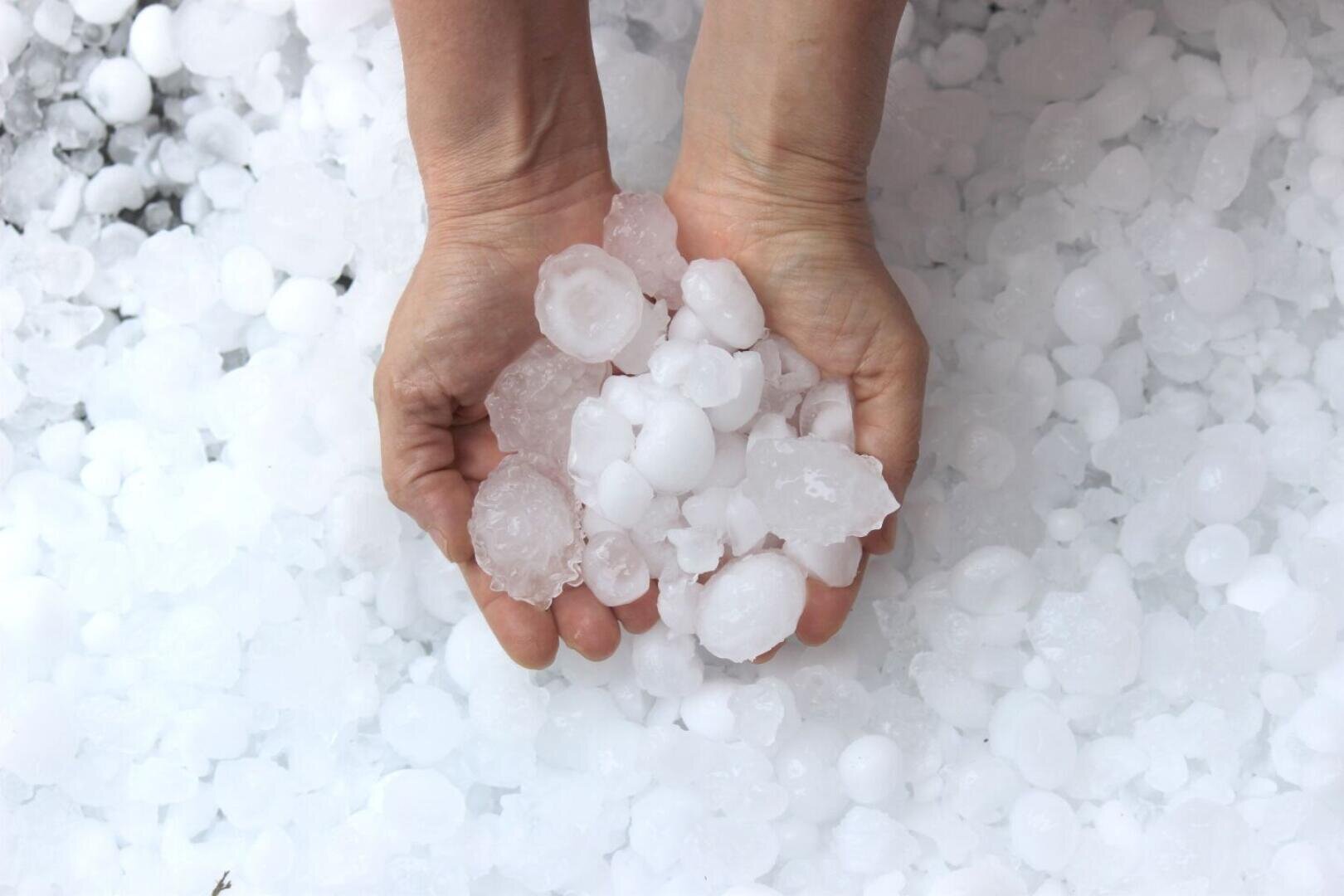 Une paire de mains tient un tas de gros grêlons ronds au-dessus d'un sol recouvert d'autres grêlons de différentes tailles.
