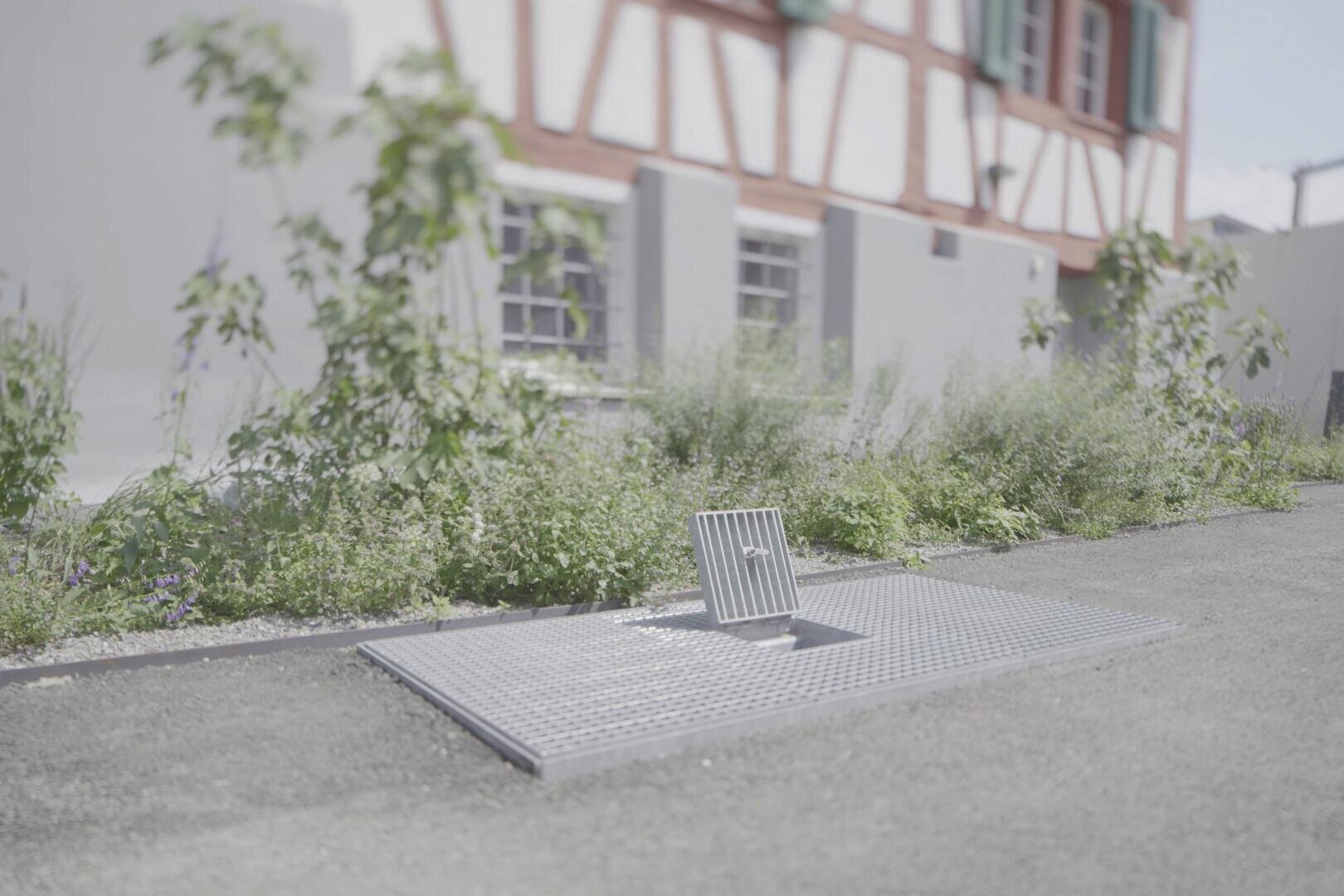 Ein Metallgitter mit einer gekippten rechteckigen Platte ist in einen gepflasterten Gehweg eingelassen, der von überwucherten Grünpflanzen umgeben ist, mit einem traditionellen Fachwerkgebäude im Hintergrund.