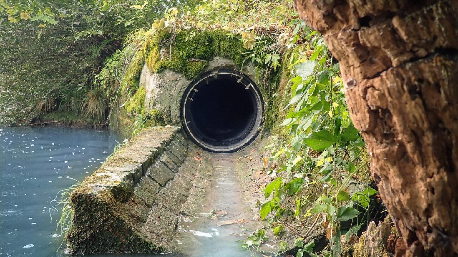Un grand tuyau de drainage rond, entouré de pierres moussues et de verdure, s'ouvre sur une étendue d'eau calme et bleue. Des branches en surplomb et une végétation dense encadrent la scène.