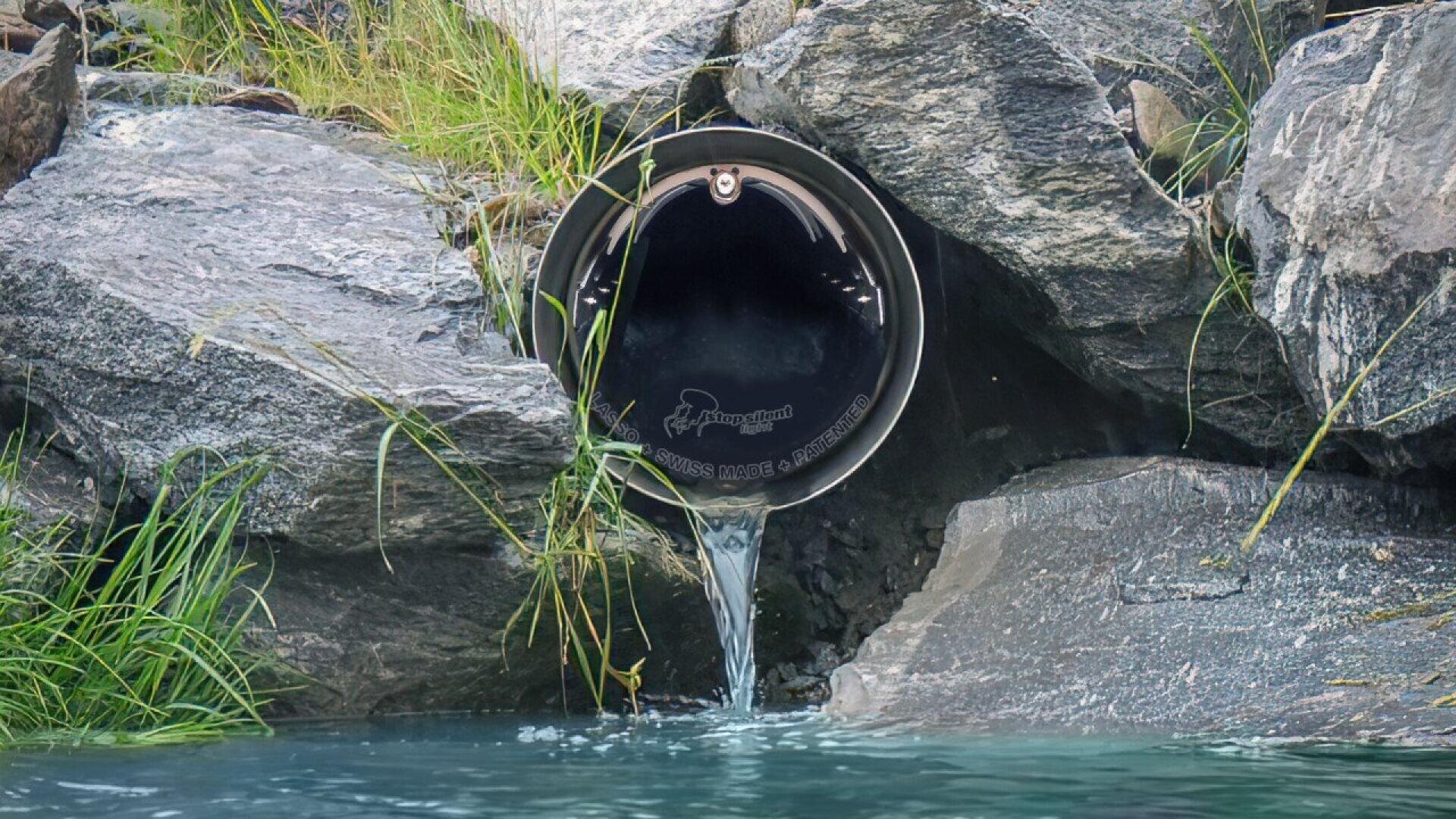 Un tuyau de drainage en métal entouré de rochers et d'herbe déverse un petit ruisseau d'eau claire dans un bassin situé en contrebas.