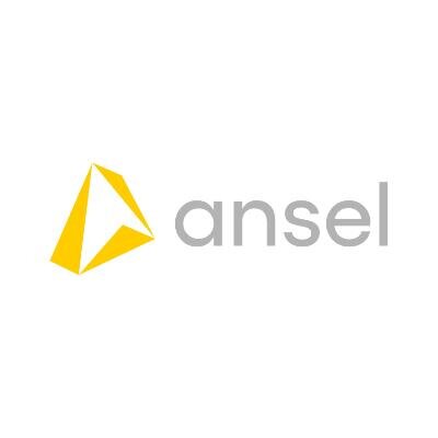 Logo Ansel - Doors & Windows