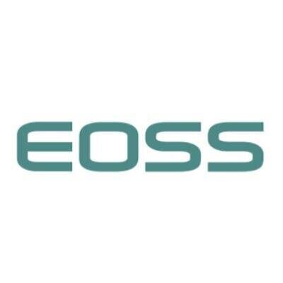 Logo EOSS System Door and Window (Shandong) Co., Ltd.