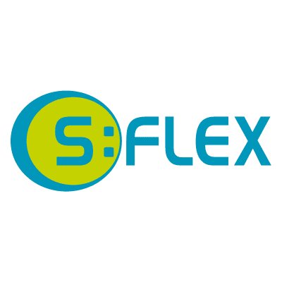 Logo S:FLEX