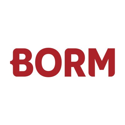Logo Borm-Informatik AG